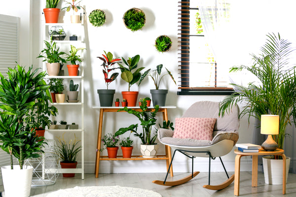 Is It Good to Combine Fake Plants with Real Plants?  Silk Plants Direct