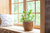How to Maximize Space Around Windows for Houseplants