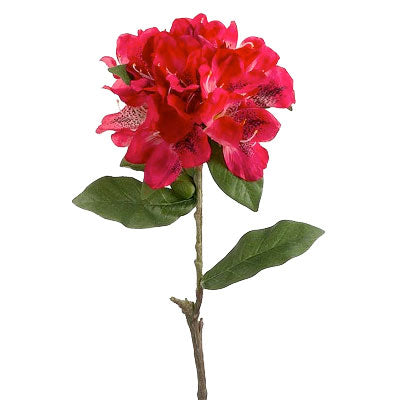 An instant injection of life for your rooms  Silk Plants Direct