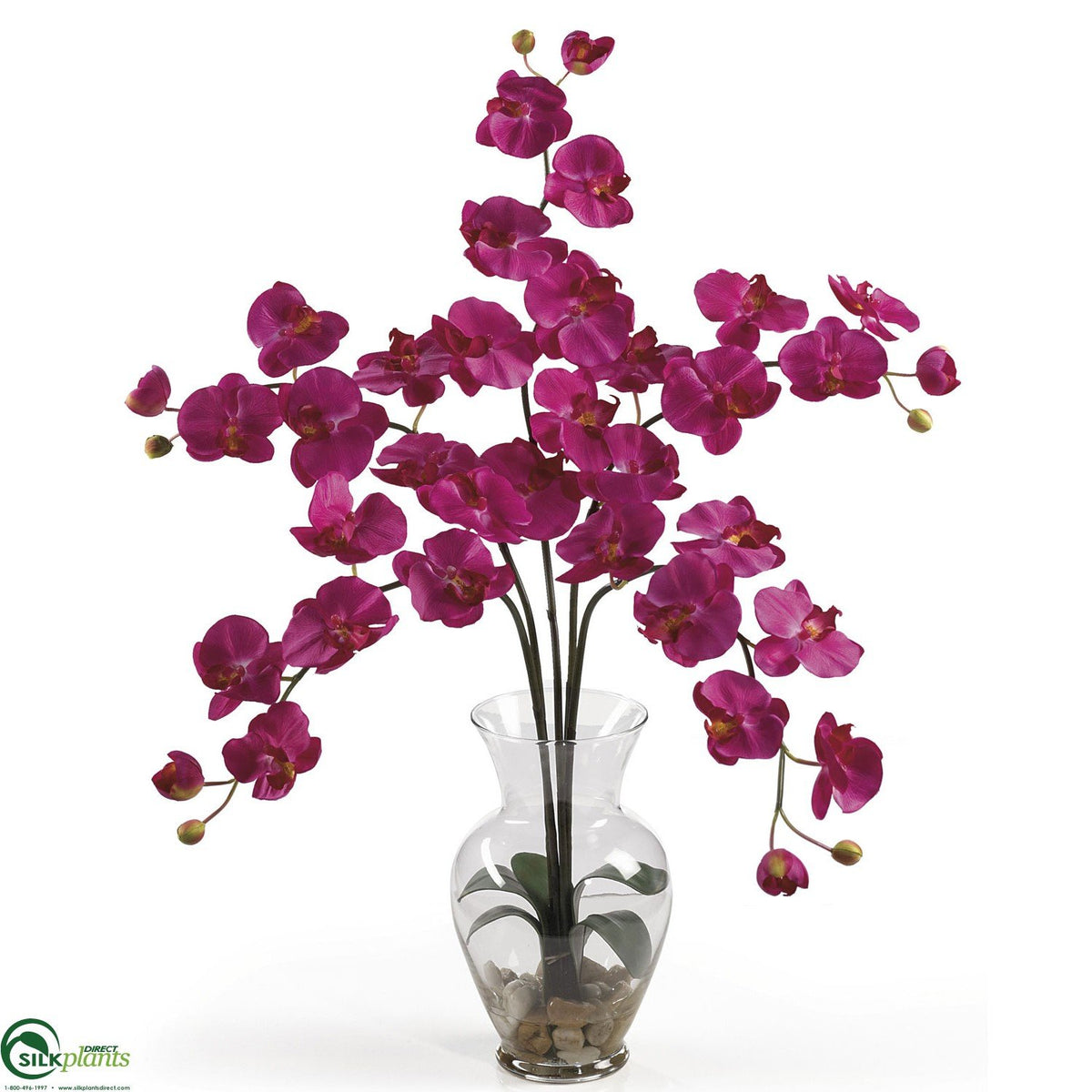 Silk Plants Direct Phalaenopsis Liquid Illusion Beauty Pack of 1