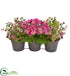 Silk Plants Direct Triple Potted Daisy and Eucalyptus - Pack of 1