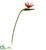 Silk Plants Direct Large Bird of Paradise Artificial Flower - Pack of 1