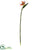 Silk Plants Direct Bird of Paradise Artificial Flower - Pack of 1