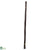 Silk Plants Direct Bamboo Sticks - Pack of 1