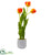 Silk Plants Direct Tulip - Pack of 1