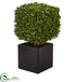 Silk Plants Direct Boxwood Artificial Plant - Pack of 1