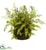 Silk Plants Direct Mixed Fern - Pack of 1