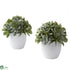 Silk Plants Direct Mixed Succulent - Pack of 1
