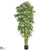Silk Plants Direct Biggy Style Bamboo - Green - Pack of 1