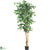 Silk Plants Direct Ficus - Green - Pack of 1