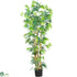 Silk Plants Direct Multi Bambusa Bamboo - Green - Pack of 1