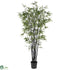 Silk Plants Direct Black Bamboo - Green - Pack of 1