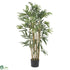 Silk Plants Direct Multi Bambusa Bamboo - Green - Pack of 1