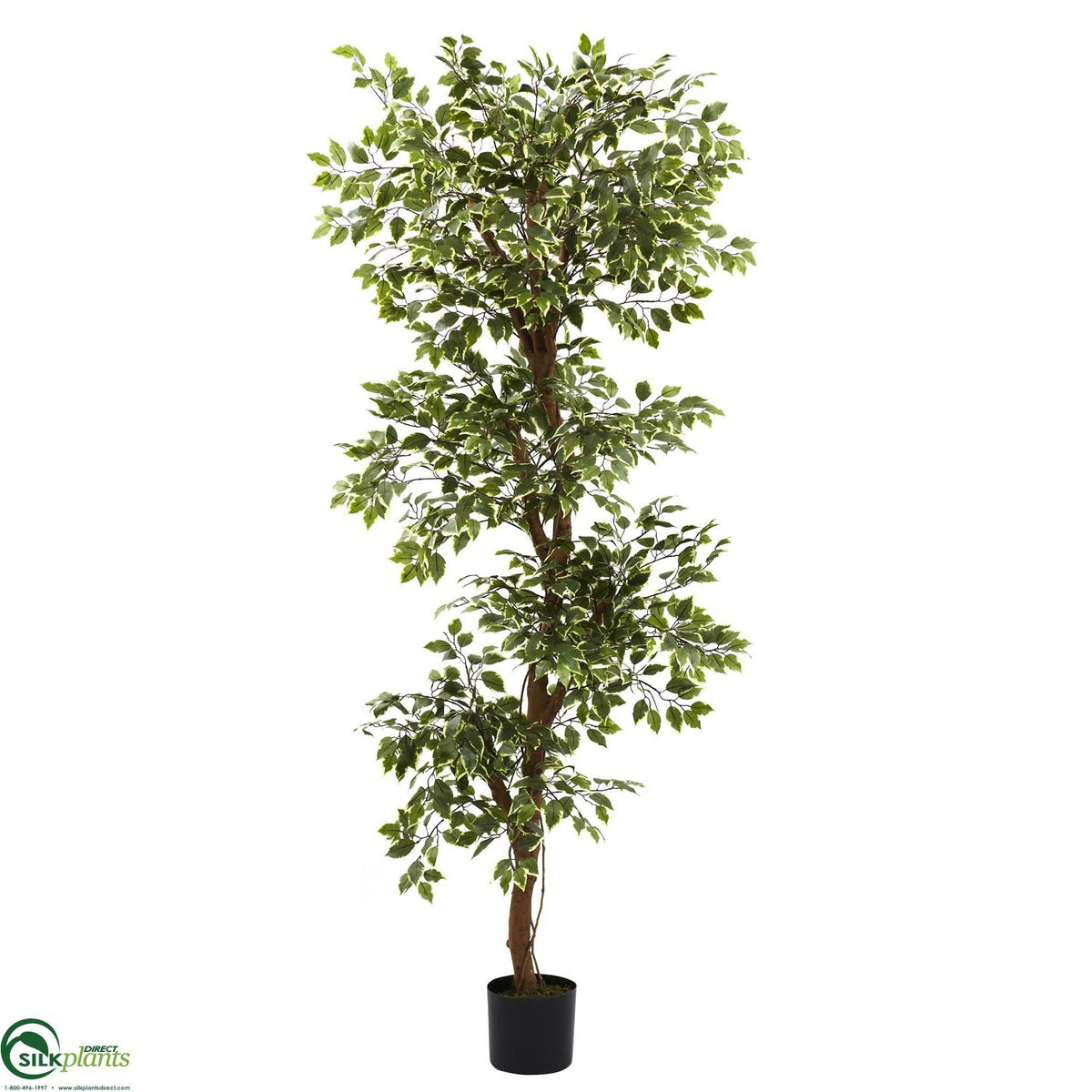 Silk Plants Direct Variegated Ficus Tree Pack of 1