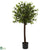 Silk Plants Direct Olive Topiary - Pack of 1
