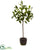 Silk Plants Direct Topiary - Pack of 1