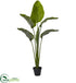 Silk Plants Direct Travellers Palm - Pack of 1