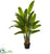 Silk Plants Direct Traveler's Palm Artificial Tree - Pack of 1