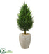 Silk Plants Direct Cypress Cone Artificial Tree - Pack of 1