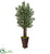 Silk Plants Direct Parlor Palm Tree - Pack of 1