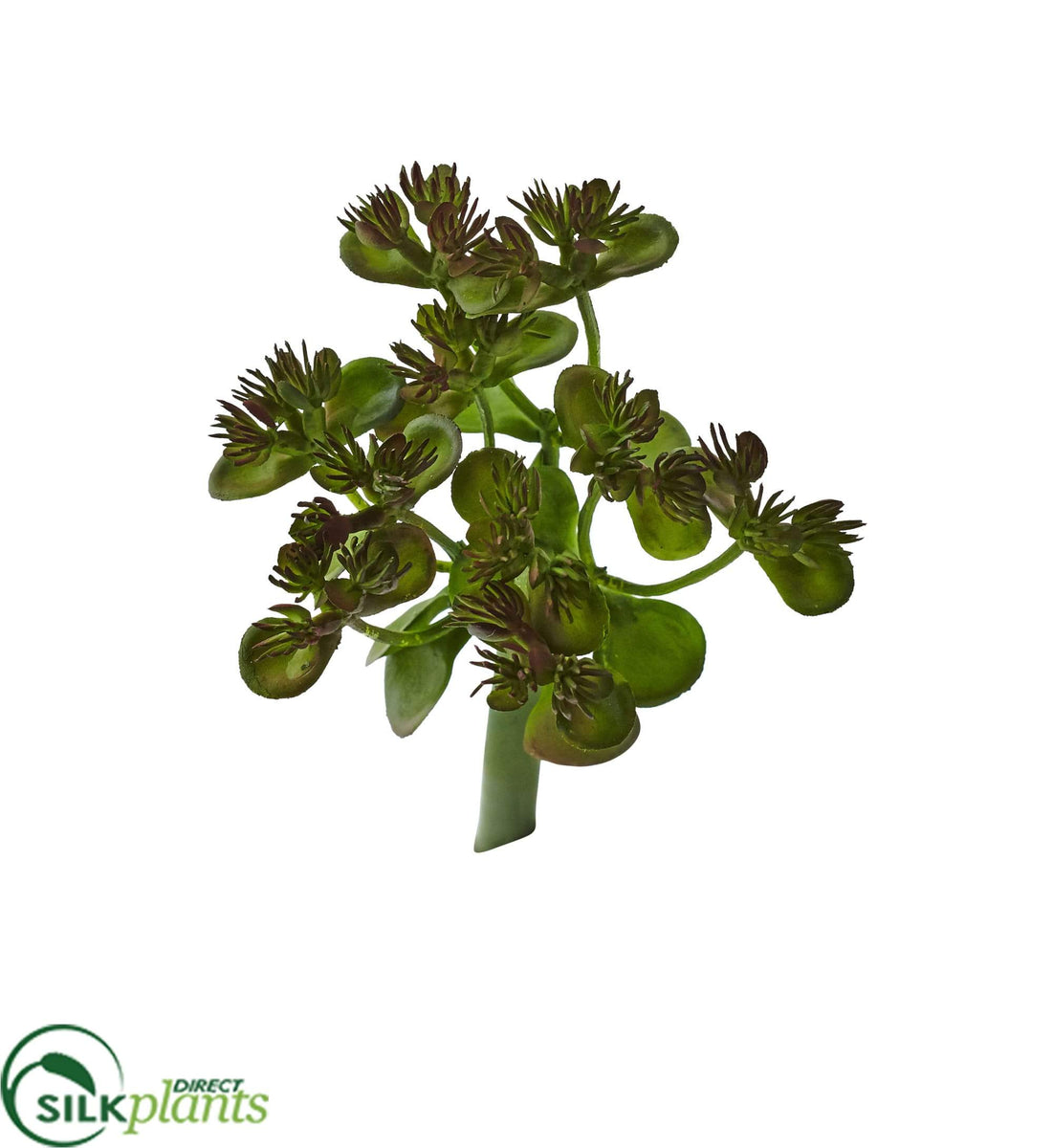 Silk Plants Direct Sedum Succulent Artificial Plant Pack of 1