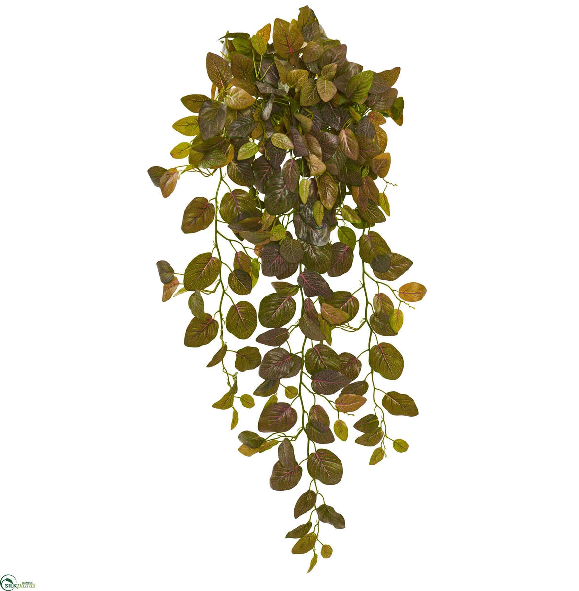 Silk Plants Direct Fittonia Hanging Bush Artificial Plant Pack of 1