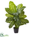 Silk Plants Direct Dieffenbachia Artificial Plant - Pack of 1