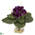 Silk Plants Direct Gloxina - Purple - Pack of 1