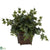 Silk Plants Direct Puff Ivy - Green - Pack of 1