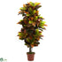 Silk Plants Direct Croton Plant - Pack of 1