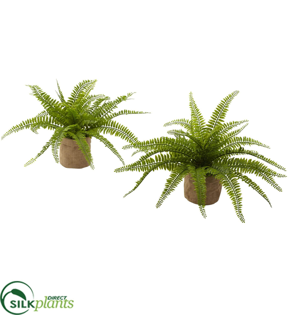Silk Plants Direct Boston Fern Pack of 1