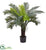 Silk Plants Direct Cycas - Pack of 1
