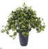 Silk Plants Direct Dusty Miller Artificial Plant - Pack of 1