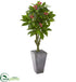 Silk Plants Direct Plumeria Artificial Tree - Pack of 1