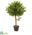 Silk Plants Direct Olive Topiary Artificial - Pack of 1