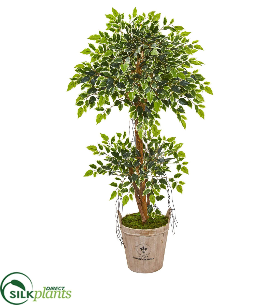 Silk Plants Direct Variegated Ficus Artificial Tree Pack of 1