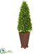 Silk Plants Direct Eucalyptus Cone Topiary Artificial Tree - Pack of 1