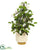 Silk Plants Direct Stephanotis Artificial Plant - Pack of 1