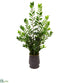 Silk Plants Direct Zamioculcas Artificial Plant - Pack of 1