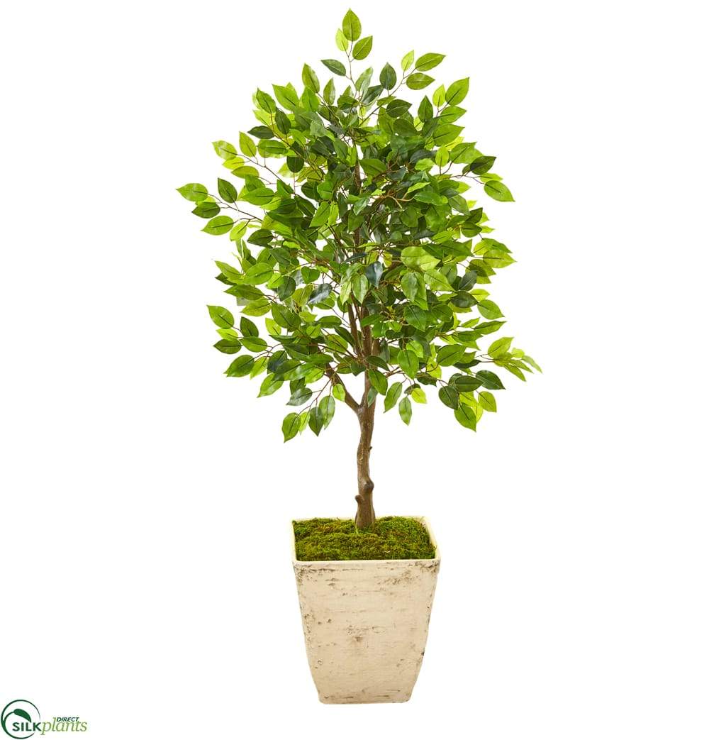 Silk Plants Direct Ficus Artificial Tree Pack of 1