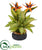 Silk Plants Direct Bird of Paradise and Musa Leaf Artificial Arrangement - Pack of 1