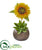 Silk Plants Direct Sunflower and Agave Artificial Arrangement - Pack of 1