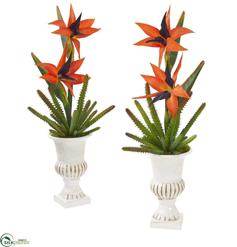 Silk Plants Direct Bird of Paradise and Cactus Artificial Arrangement