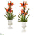 Silk Plants Direct Bird of Paradise and Cactus Artificial Arrangement in White Urn - Pack of 2
