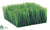 Long Grass Square Mat - Green - Pack of 4