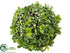 Silk Plants Direct Twig Berry Orb - Green - Pack of 6