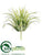 Easter Grass Pick - Green - Pack of 72