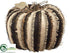 Silk Plants Direct Burlap Linen Pumpkin - Black Brown - Pack of 1