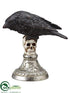 Silk Plants Direct Crow on Skull - Black Silver - Pack of 2
