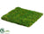 Preserved Grass Mat - Green - Pack of 12